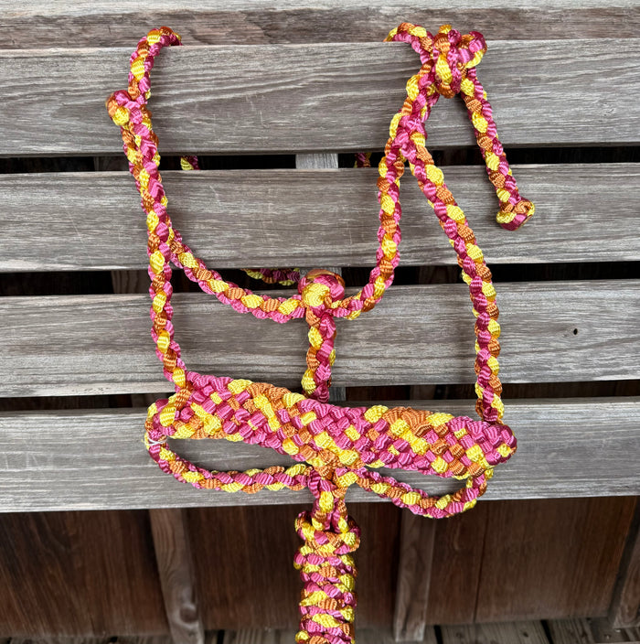 Maroon/Yellow