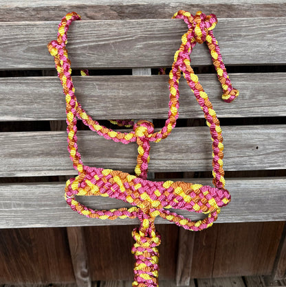 Maroon/Yellow