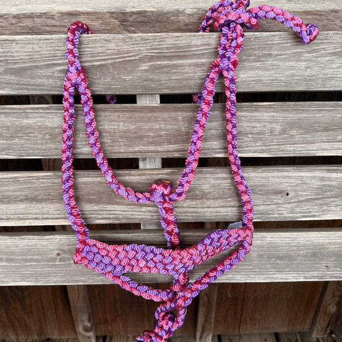 Pink/Purple